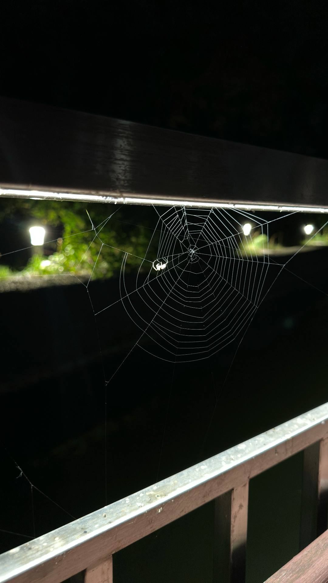 A spiderweb between wooden rails, illuminated at night